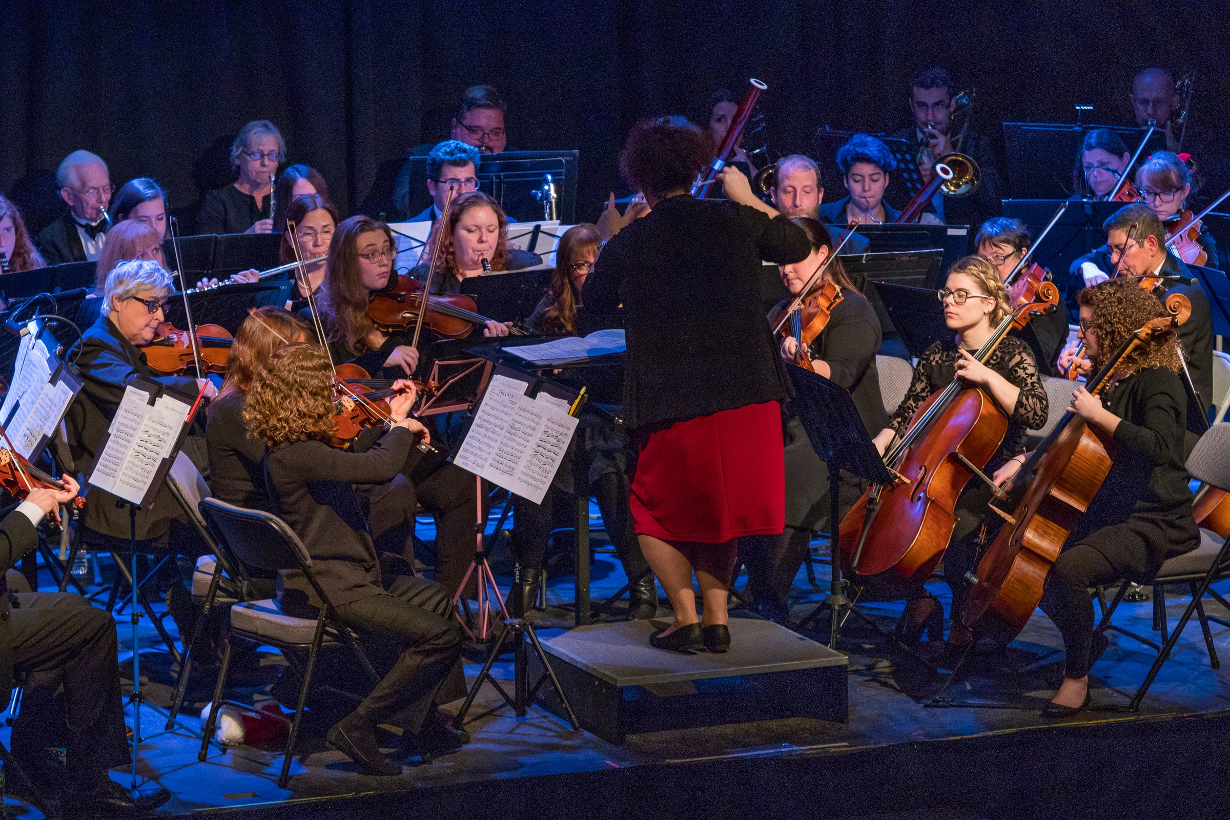 donate home about director members governance performances program